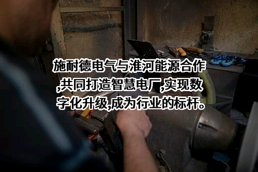施耐德电气（中国）有限公司
