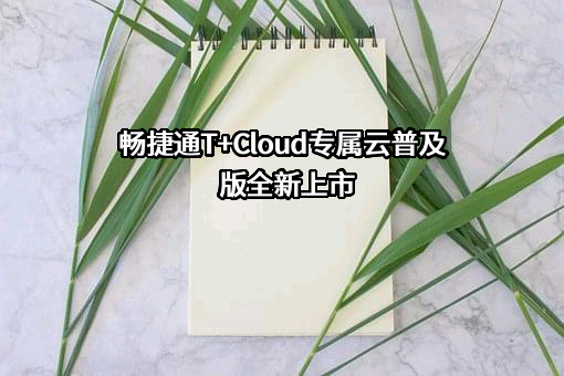 畅捷通信息技术股份有限公司