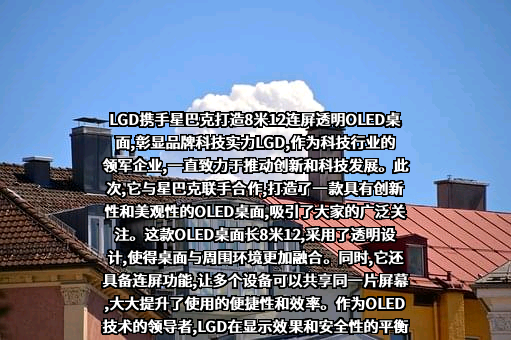 乐金显示光电科技（中国）有限公司