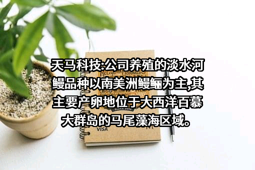 福建天马科技集团股份有限公司