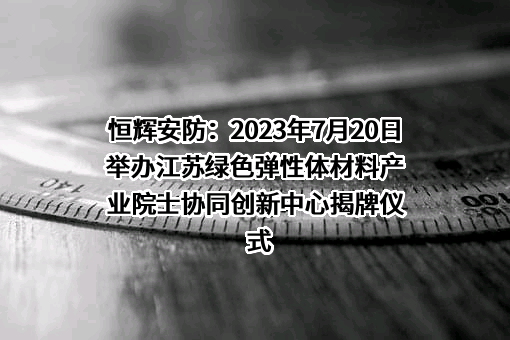 江苏恒辉安防股份有限公司