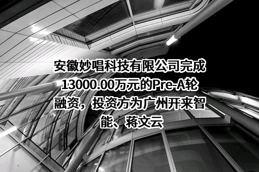 安徽妙唱科技有限公司