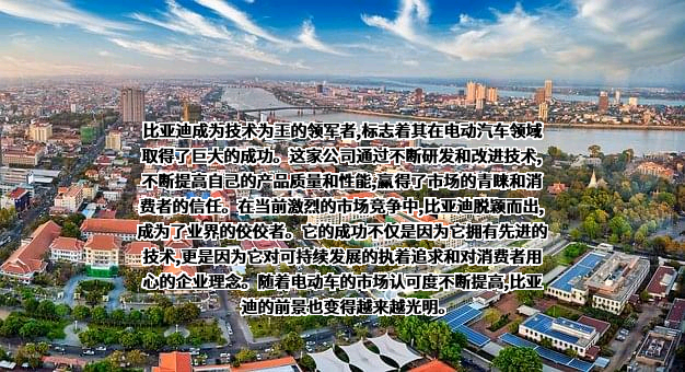 比亚迪股份有限公司