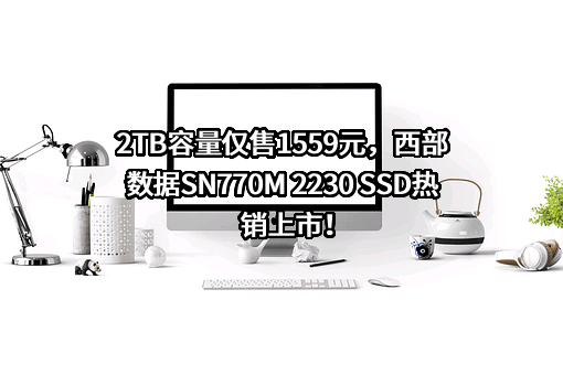 西部数据公司