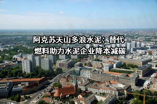 阿克苏天山多浪水泥有限责任公司