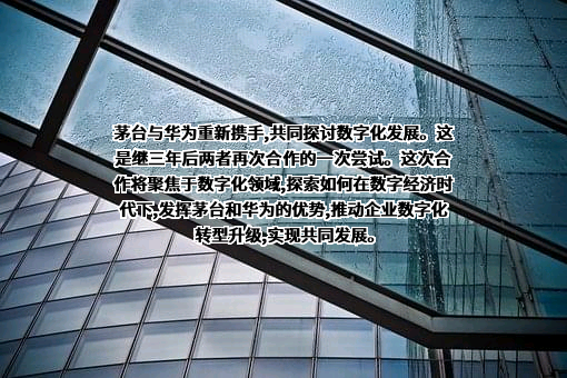 贵州茅台酒股份有限公司