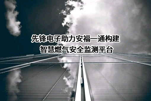 杭州先锋电子技术股份有限公司