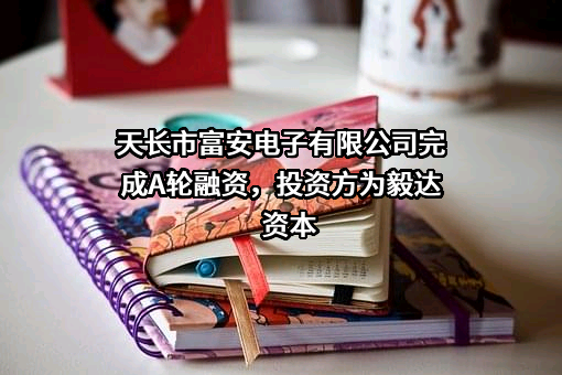 天长市富安电子有限公司