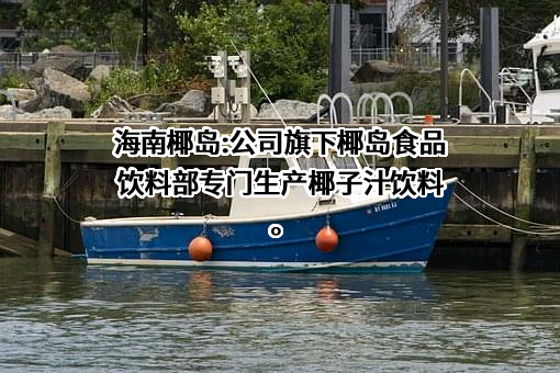 海南椰岛（集团）股份有限公司