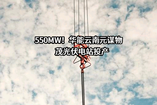 华能云南滇东能源有限责任公司