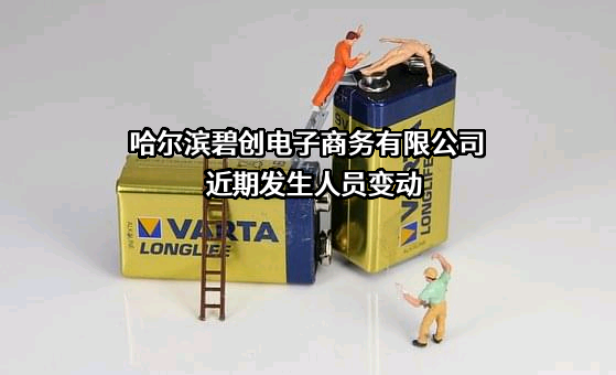 哈尔滨碧创电子商务有限公司