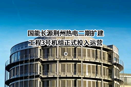 国能长源荆州热电有限公司