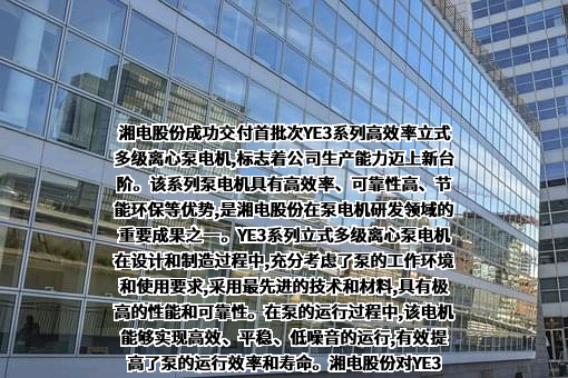 湘潭电机股份有限公司