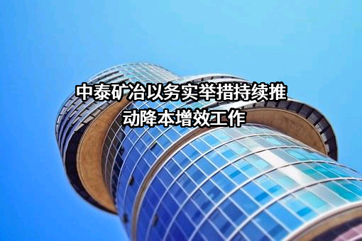 新疆中泰矿冶有限公司