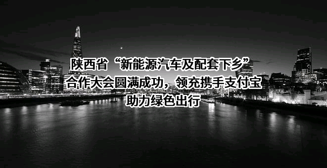 支付宝（中国）网络技术有限公司
