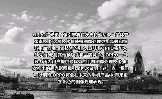 OPPO广东移动通信有限公司