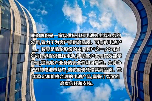 骆驼集团股份有限公司