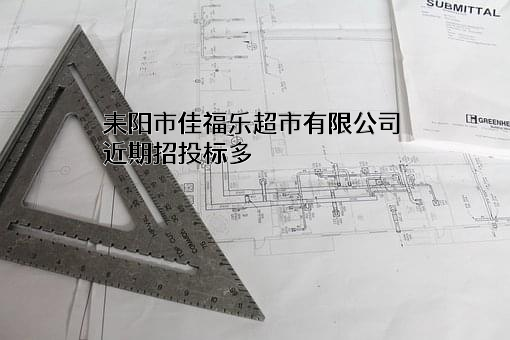 耒阳市佳福乐超市有限公司