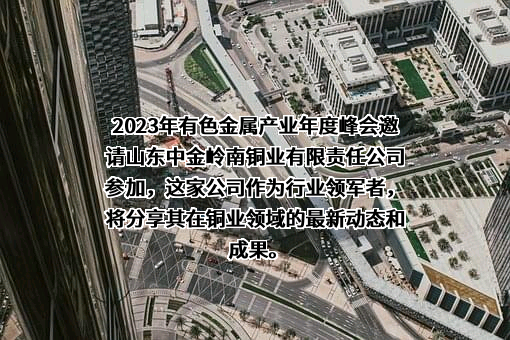 山东中金岭南铜业有限责任公司