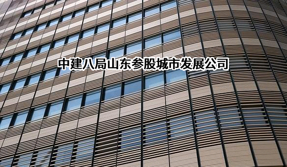 济南先行投资集团有限责任公司