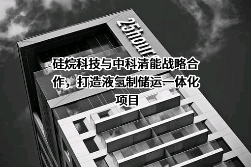 河南硅烷科技发展股份有限公司