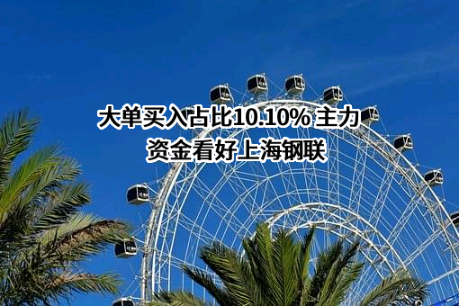 大单买入占比10.10% 主力资金看好上海钢联