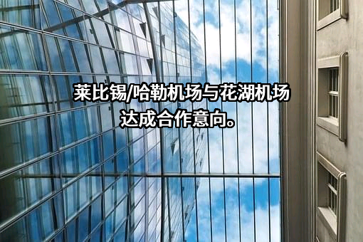 湖北国际物流机场有限公司