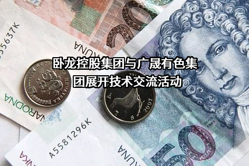 广晟有色金属股份有限公司