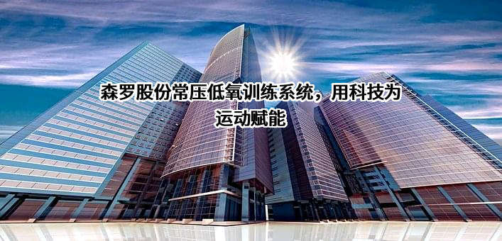 天津森罗科技股份有限公司