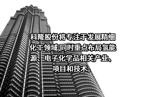 辽宁科隆精细化工股份有限公司