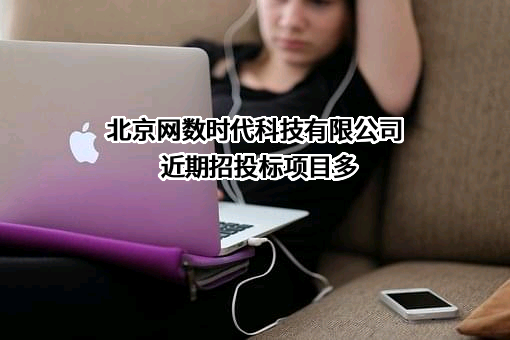 北京网数时代科技有限公司