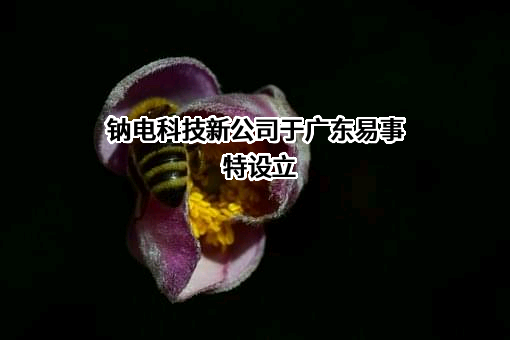 易事特集团股份有限公司