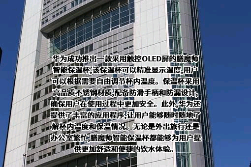 华为技术有限公司