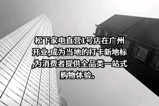 松下电器（中国）有限公司