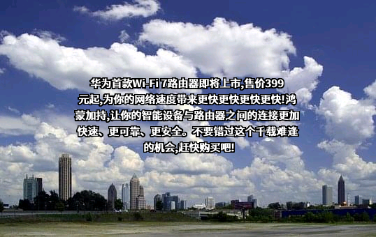 华为技术有限公司