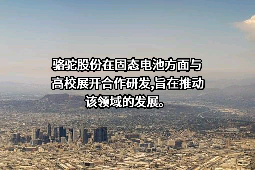 骆驼集团股份有限公司