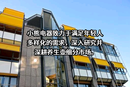 小熊电器股份有限公司