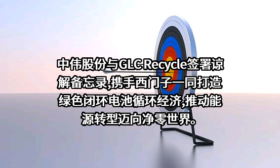 中伟新材料股份有限公司