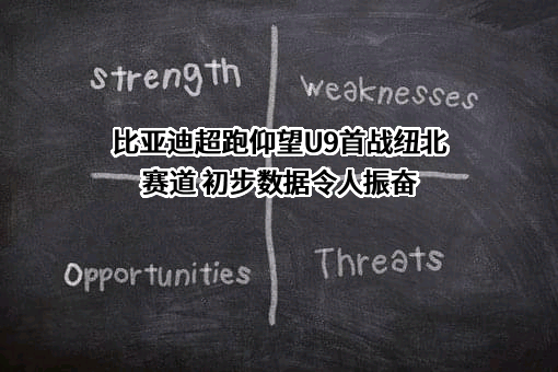 比亚迪股份有限公司