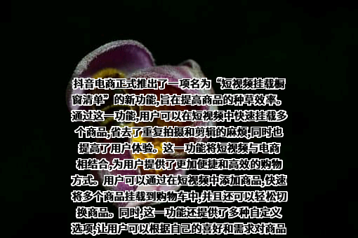 北京字节跳动科技有限公司