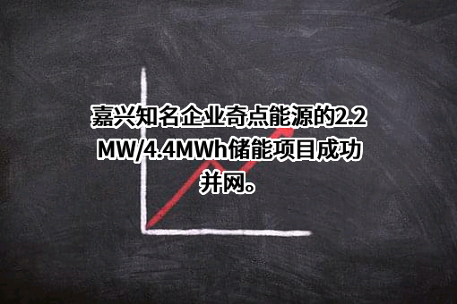 西安奇点能源股份有限公司