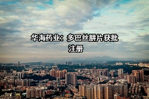 浙江华海药业股份有限公司
