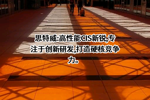 思特威（上海）电子科技股份有限公司