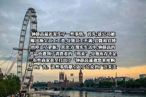 钟薛高食品（上海）有限公司