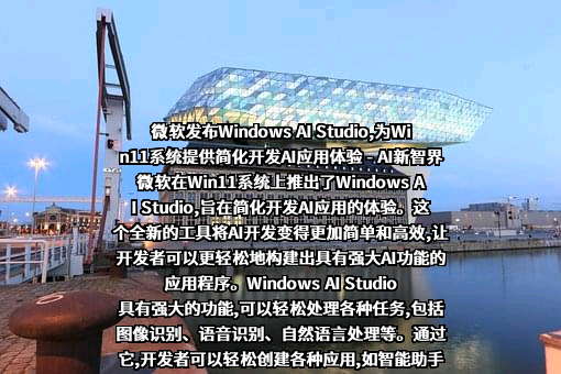 微软（中国）有限公司