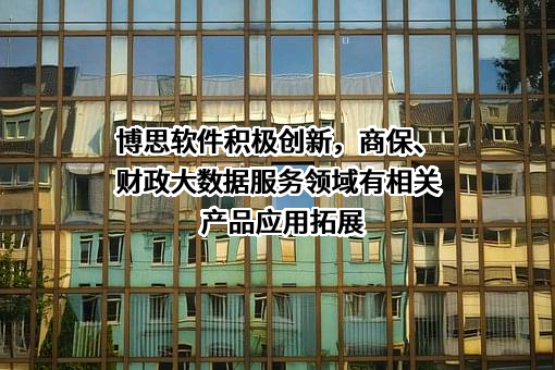 福建博思软件股份有限公司