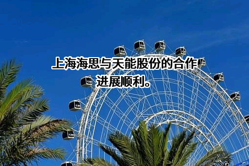 海思包装材料（上海）有限公司