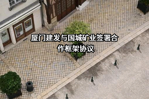 厦门建发新兴能源有限公司