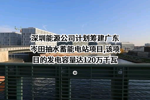 深能（河源）蓄能综合开发有限公司