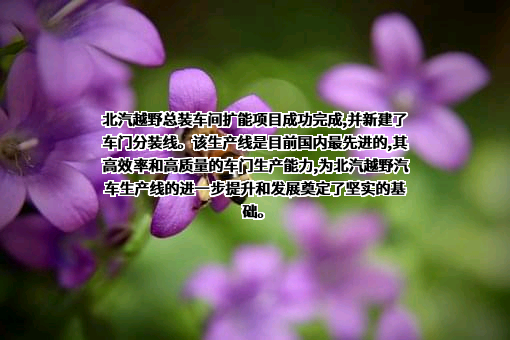 北京汽车集团越野车有限公司